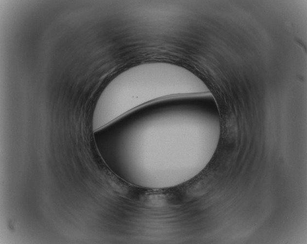 X0000091910228200709051217