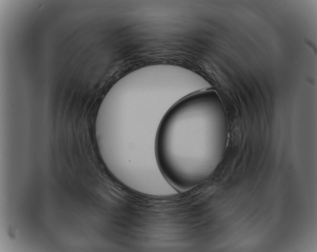 X0000091910229200709051217