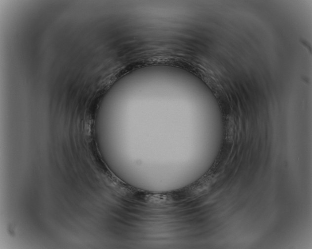 X0000091910230200709051217