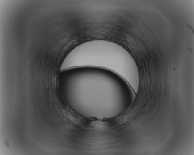 X0000091910231200709051217