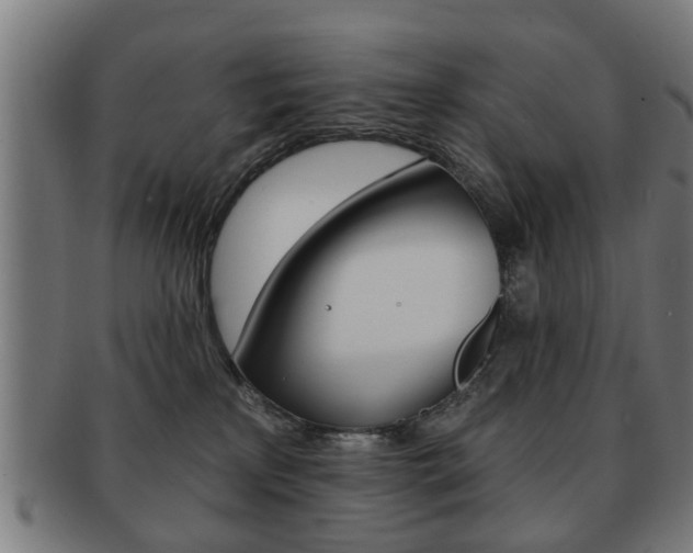 X0000091910233200709051217