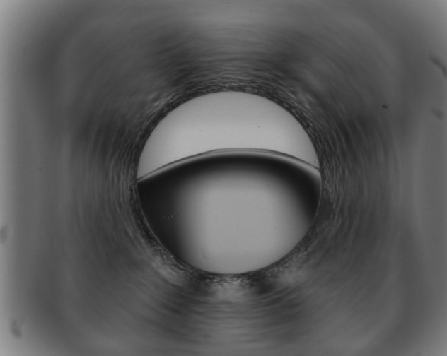X0000091910235200709051217