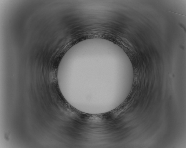 X0000091910236200709051217