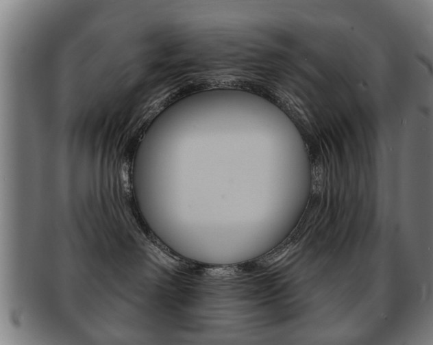 X0000091910238200709051217
