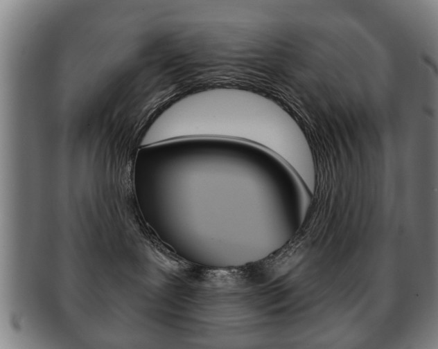 X0000091910239200709051217