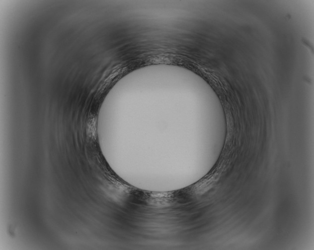 X0000091910240200709051217