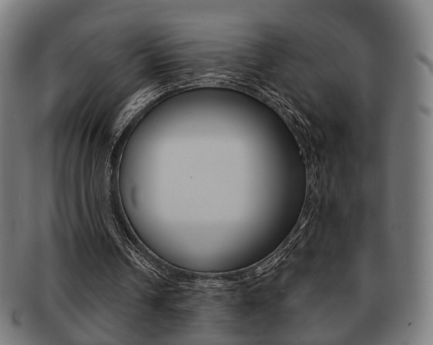X0000091910242200709051217