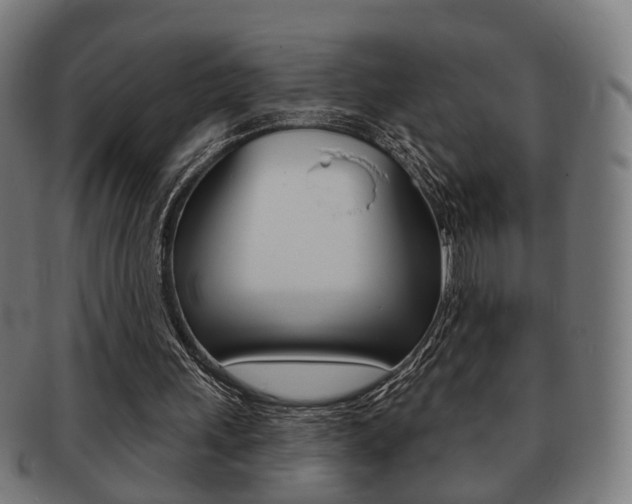 X0000091910243200709051217