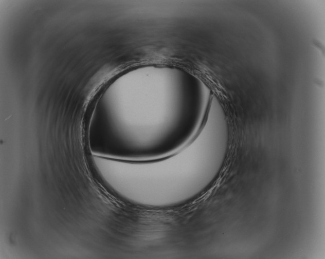 X0000091910244200709051217