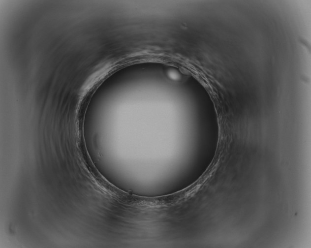 X0000091910245200709051217