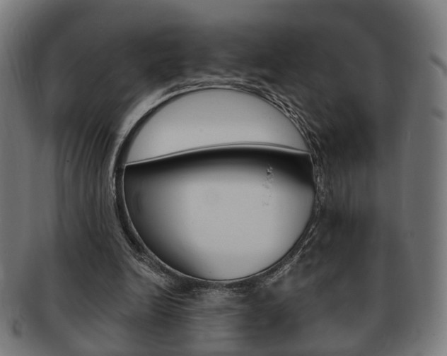 X0000091910246200709051217