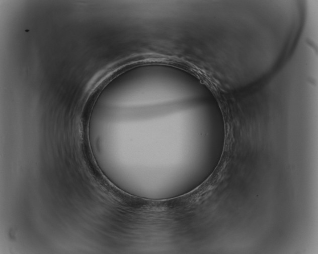 X0000091910247200709051217