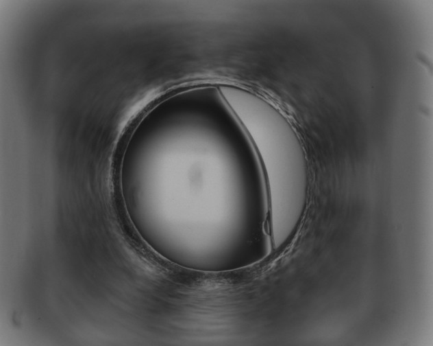 X0000091910248200709051217