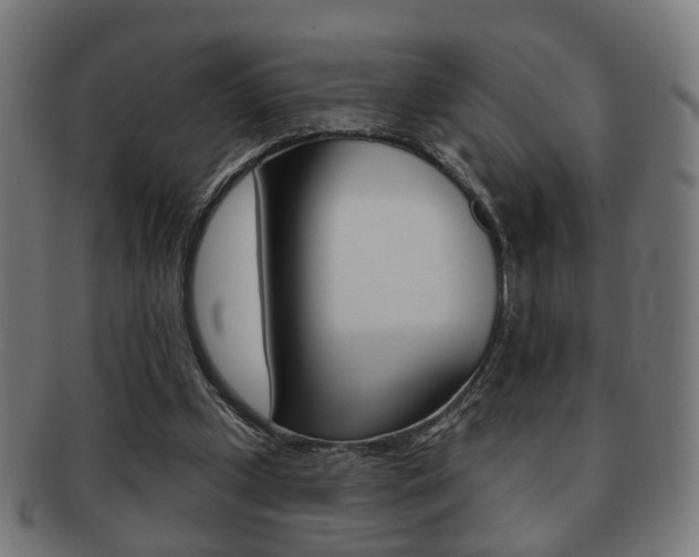 X0000091910249200709051217