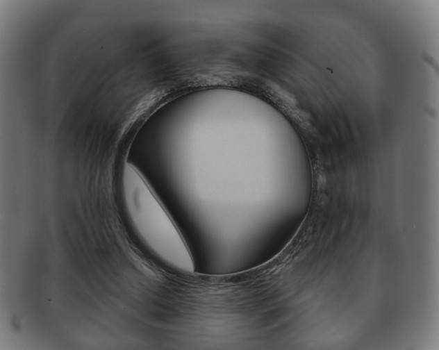 X0000091910250200709051217