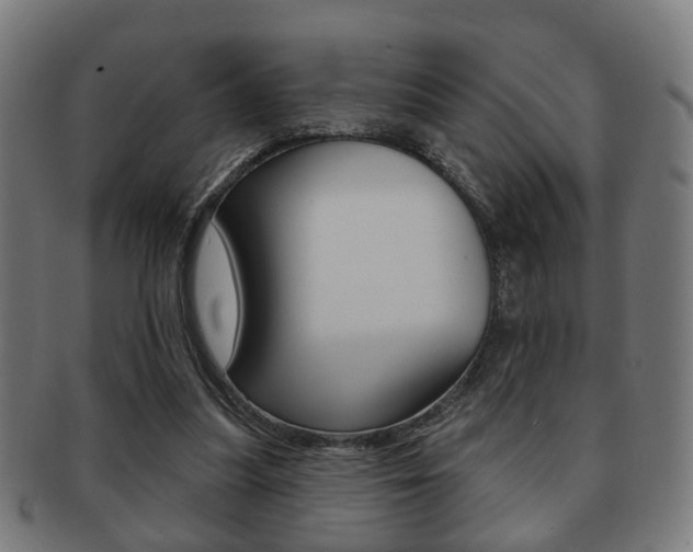 X0000091910251200709051217