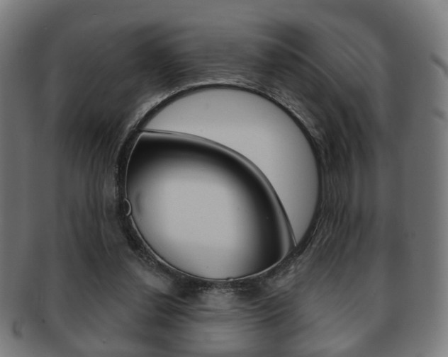 X0000091910252200709051217