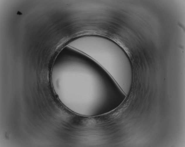 X0000091910253200709051217