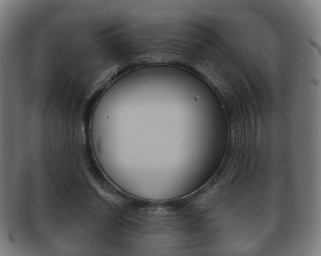 X0000091910254200709051217