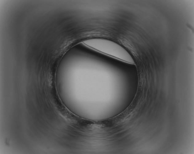 X0000091910255200709051217