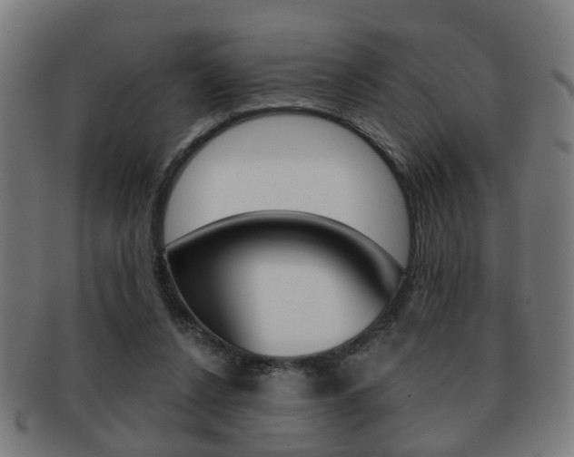 X0000091910256200709051217