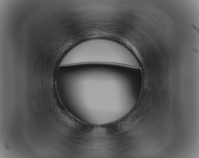 X0000091910257200709051217