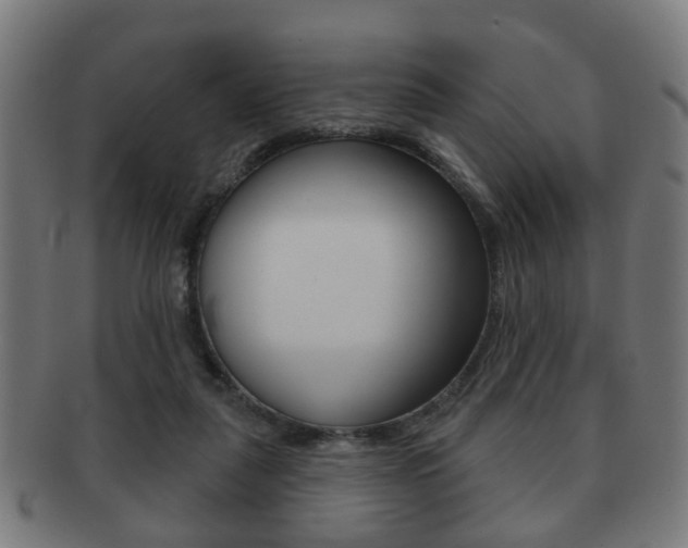 X0000091910259200709051217