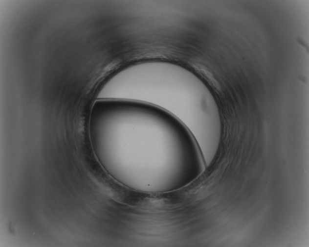 X0000091910260200709051217