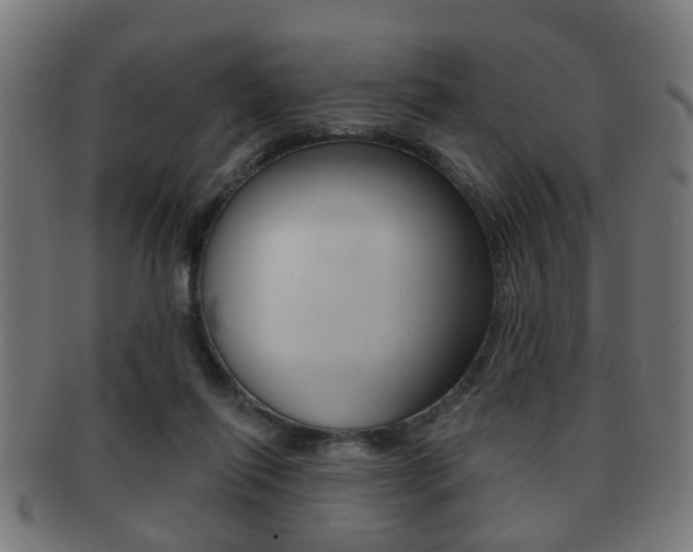 X0000091910262200709051217