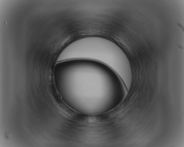 X0000091910264200709051217