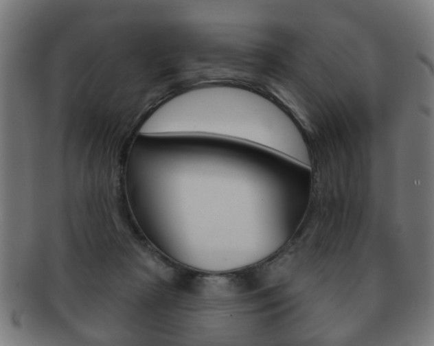 X0000091910265200709051217