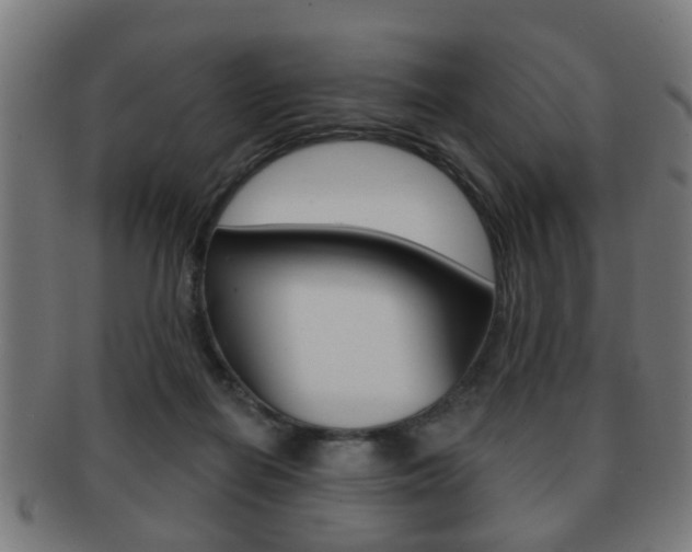 X0000091910266200709051217