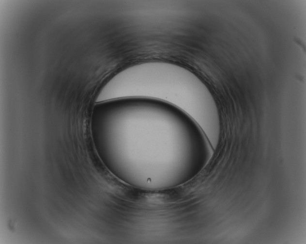 X0000091910268200709051217