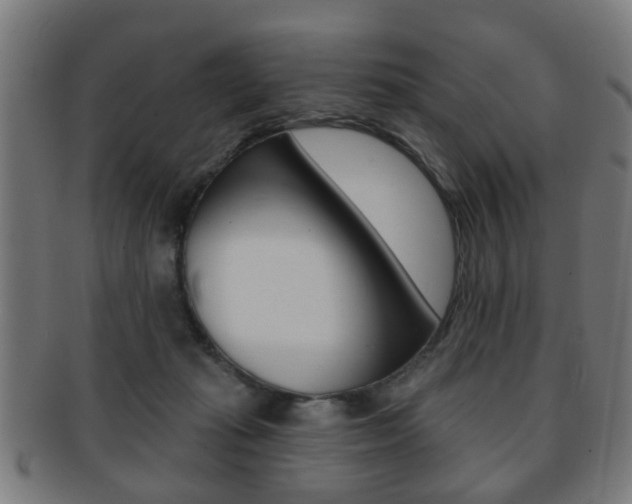 X0000091910269200709051217