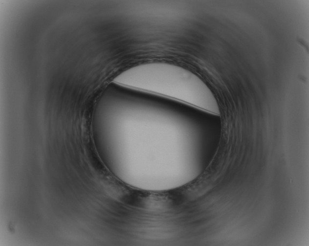 X0000091910270200709051217