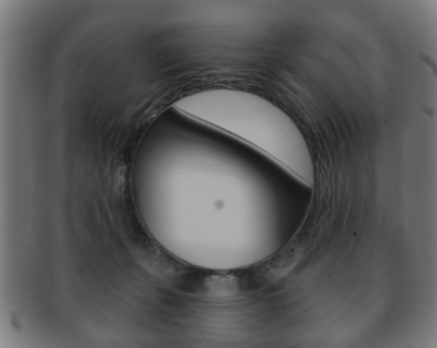 X0000091910271200709051217