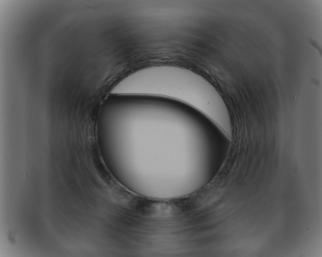 X0000091910272200709051217