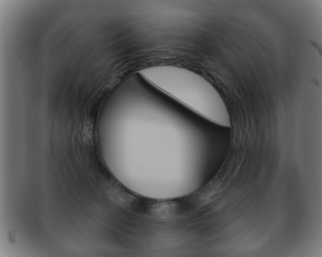 X0000091910274200709051217