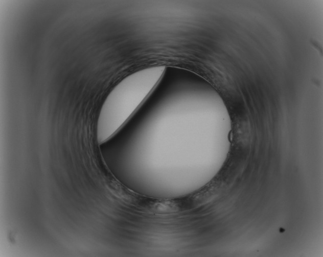 X0000091910275200709051217