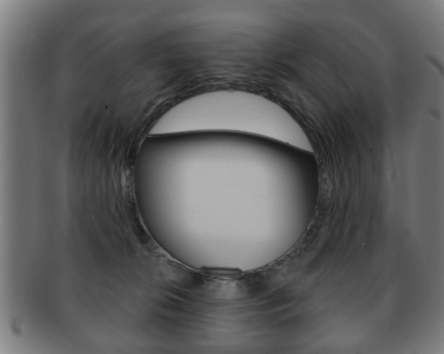 X0000091910276200709051217