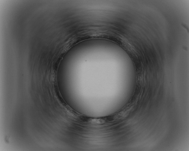 X0000091910277200709051217