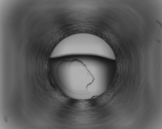 X0000091910278200709051217
