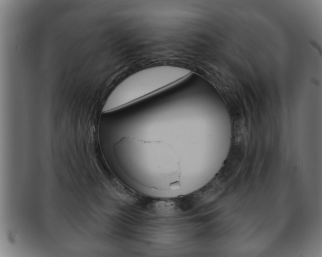 X0000091910279200709051217