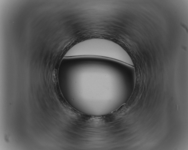 X0000091910280200709051217