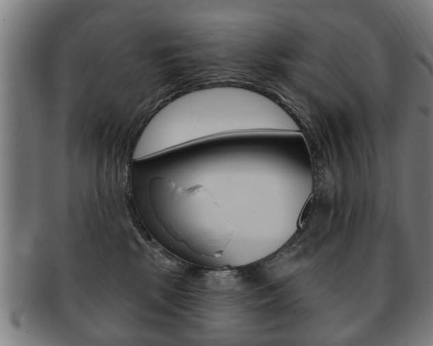 X0000091910281200709051217