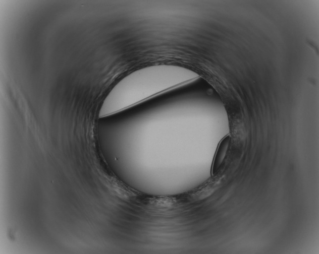 X0000091910282200709051217