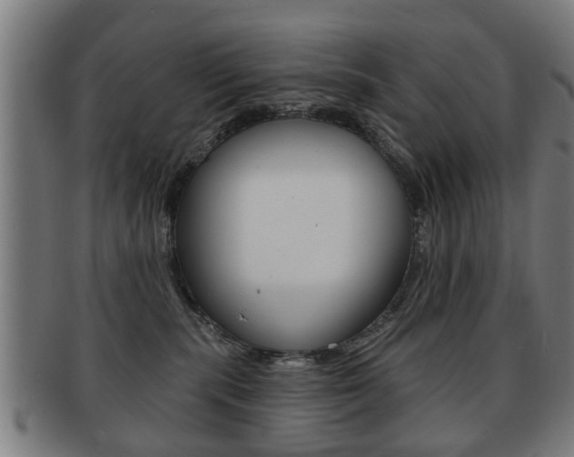 X0000091910283200709051217