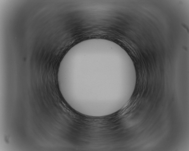 X0000091910284200709051217