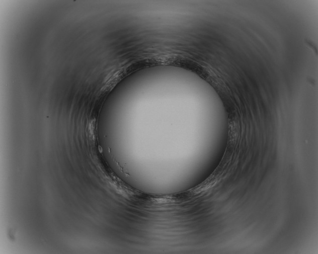 X0000091910286200709051217