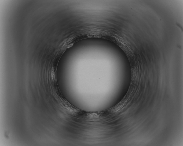 X0000091910287200709051217